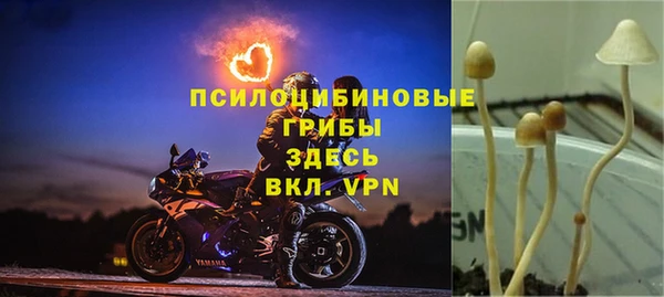 каннабис Балабаново