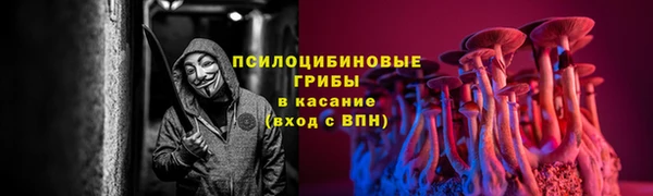 стафф Балахна