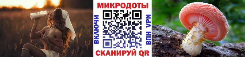 Галлюциногенные грибы Psilocybe  Будённовск 